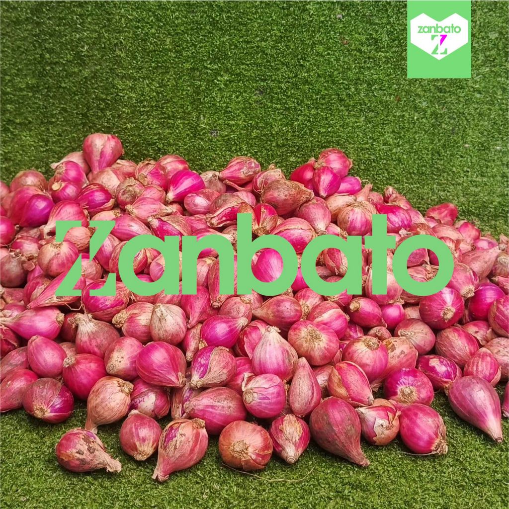 

Bawang Merah Campur 1kg Lokal brebess