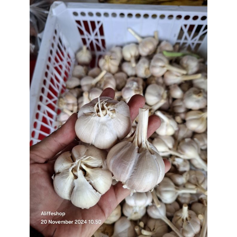 

bawang putih kating 1000 gram/500 gram