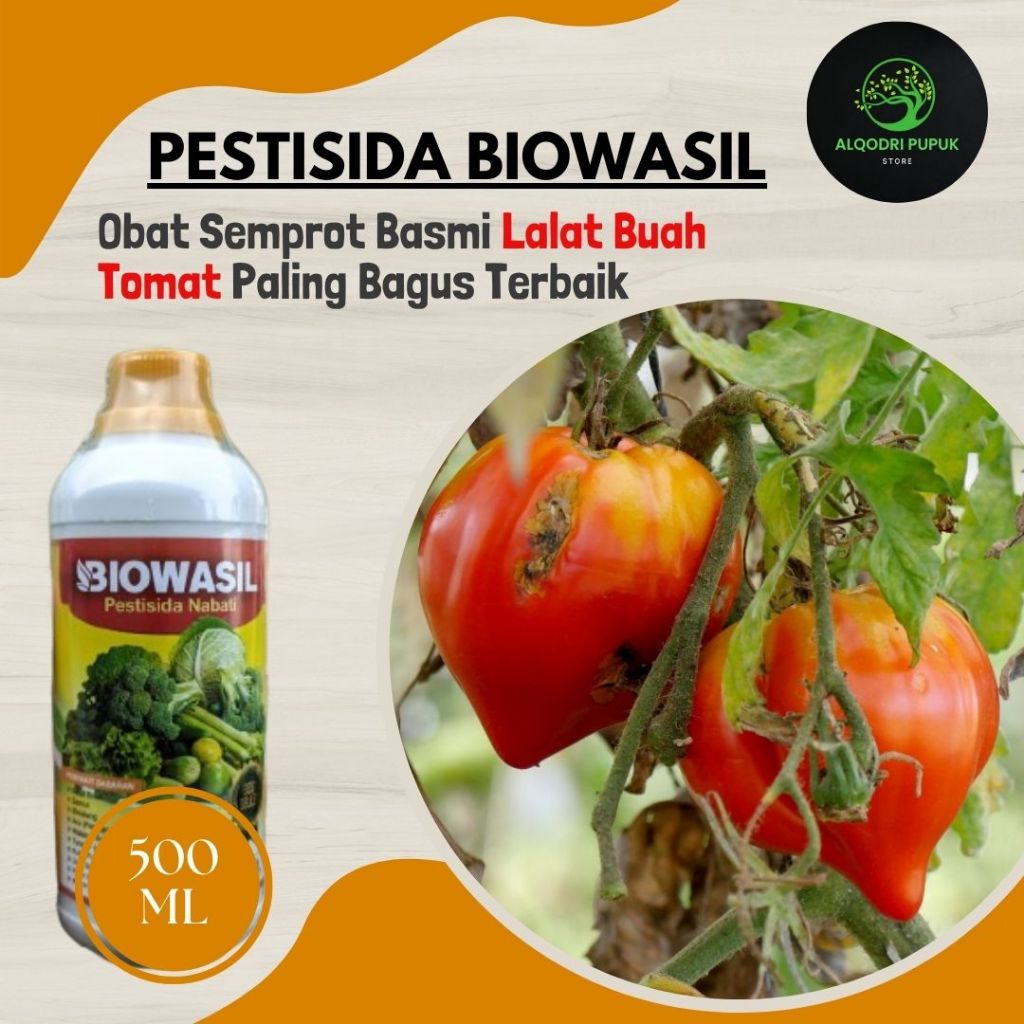 Rekomended BIOWASIL 500ml Pupuk Pestisida Untuk Mengatasi hama Lalat Buah Tomat Terbaik - Obat racun