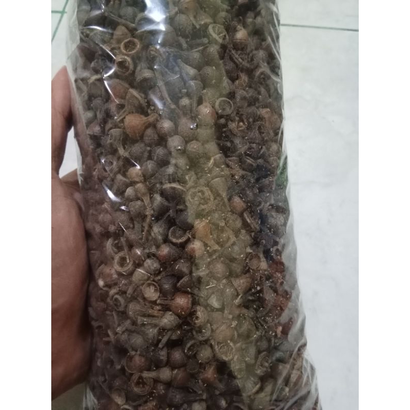 

Ceplikan Jamu 250gr Ceplik Sari Kering Bahan Jamu
