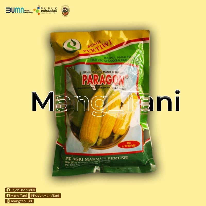 Benih Jagung Paragon - Benih Jagung Manis Unggul
