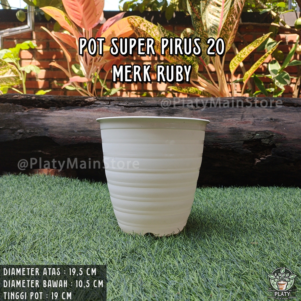 Pot Ruby Pirus Tinggi 20 | Pot Model Tawon | Pot Putih Tinggi