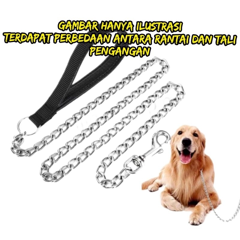 KALUNG RANTAI BESI ANJING