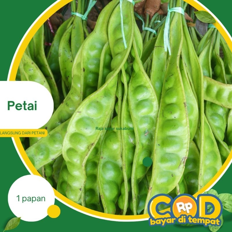 

pete/petai/peteuy 1 papan