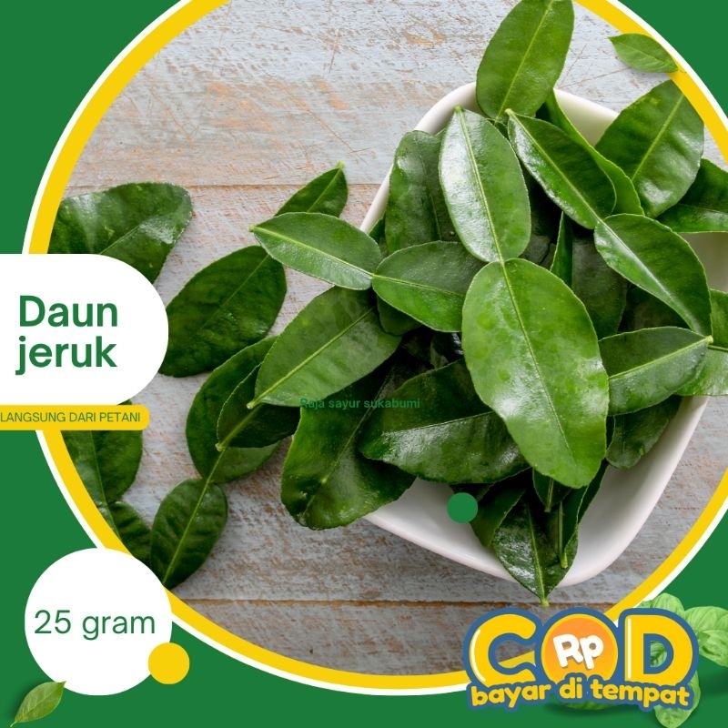 

daun jeruk