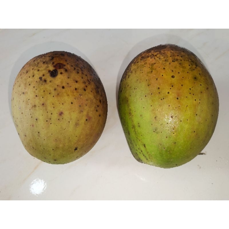 

buah bacang/pakel. tanyakan stok levih dahulu sebelum memesan.