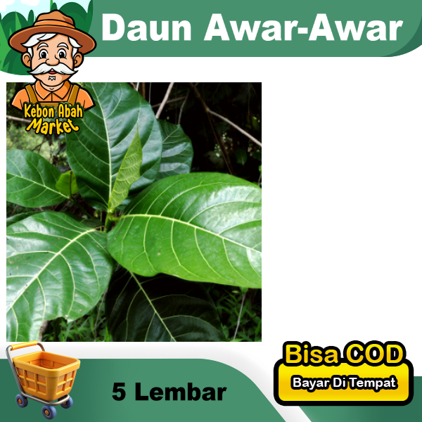 

Daun Awar-awar Per 5 Lembar