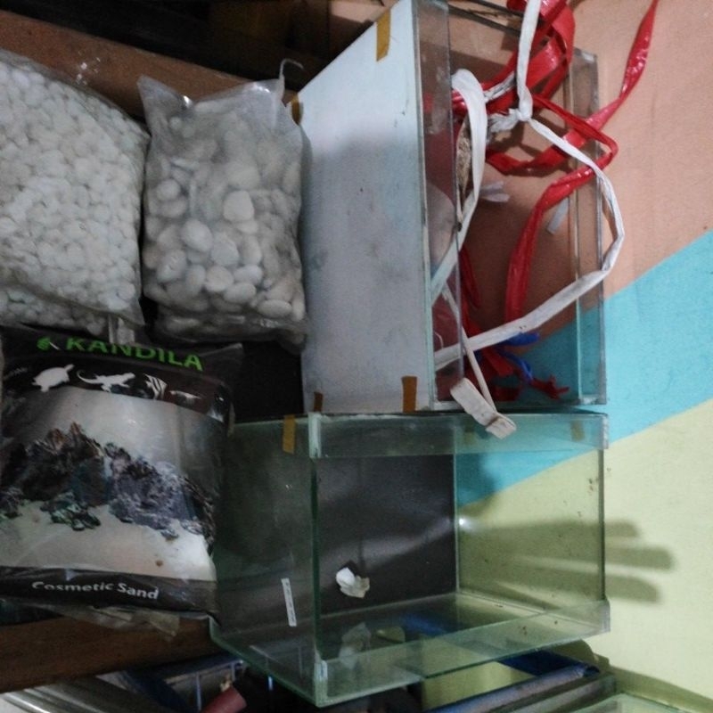 aquarium kecil