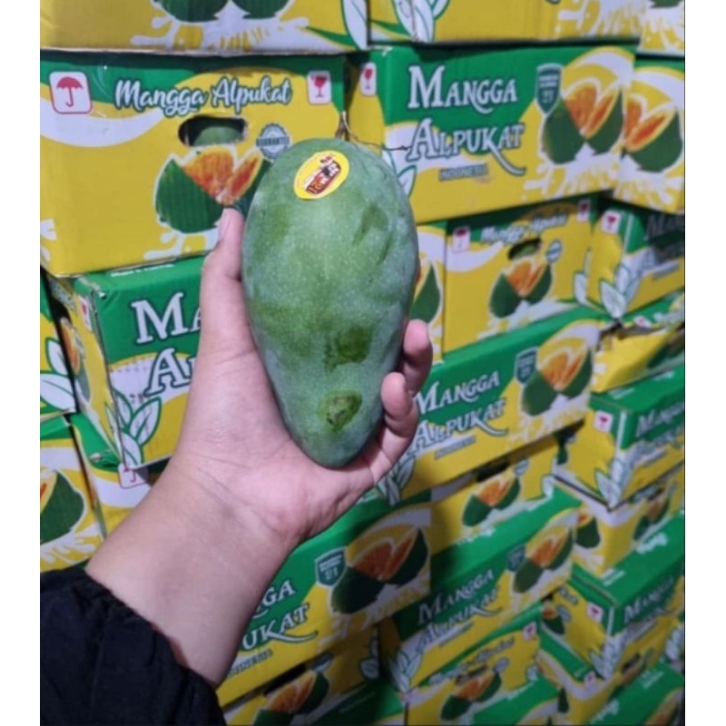 Mangga Alpukat 1 Dus