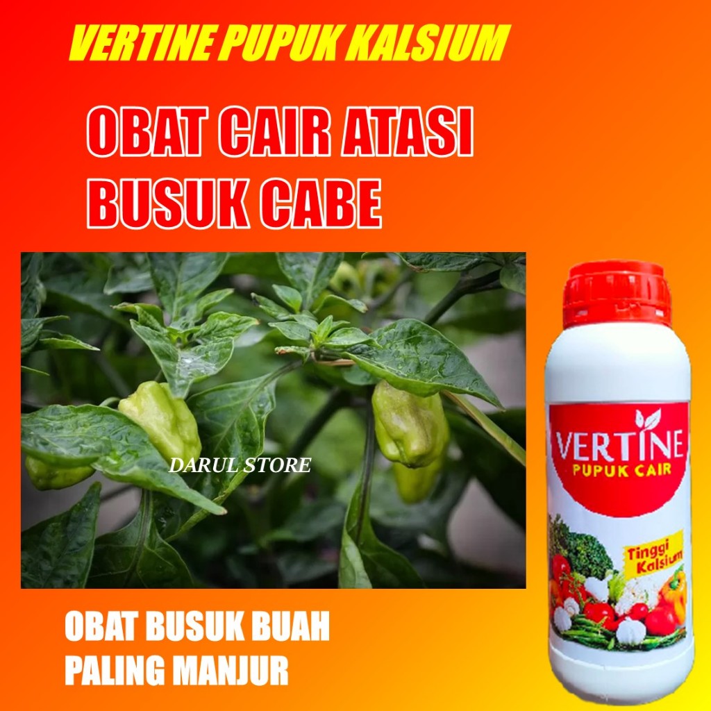PUPUK CABE BATANG DAUN AKAR KUAT PUPUK MERANGSANG PEMBENTUKAN BIJI BUAH CABE VERTINE KALSIUM