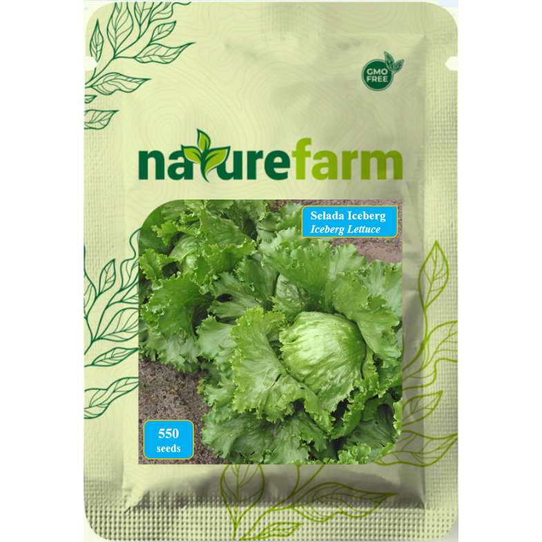 Naturefarm - Benih Selada iceberg - isi 550 seeds