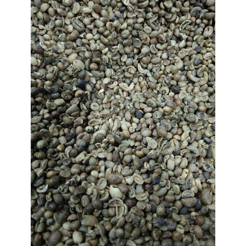 

biji kopi ROBUSTA grade C 1kg