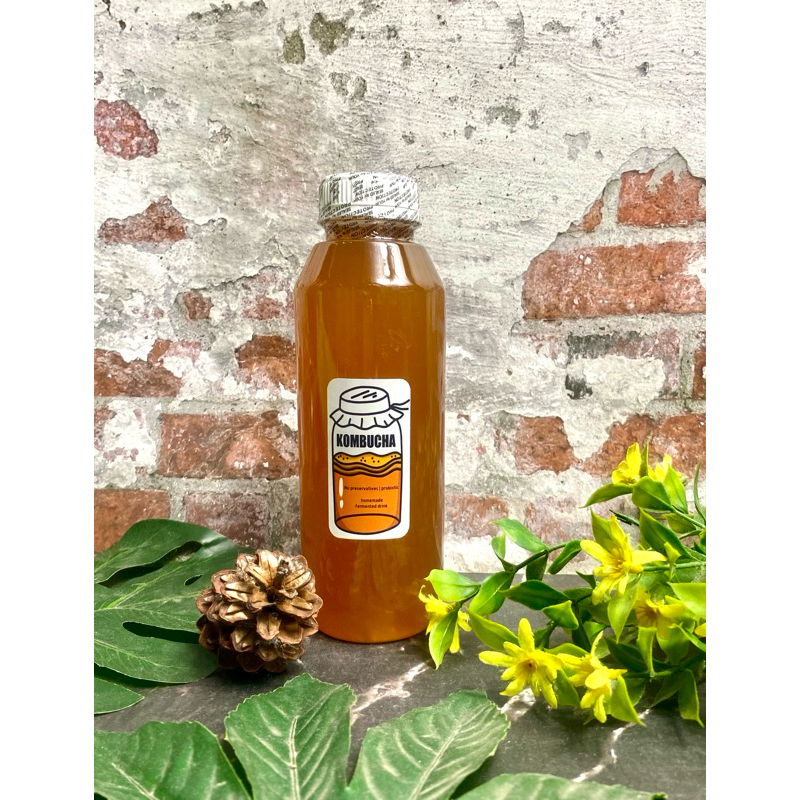 

kombucha original 500 ml