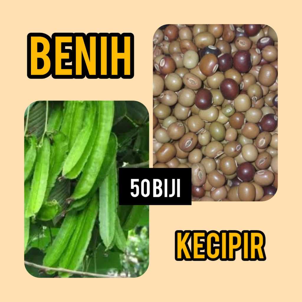 Benih Kecipir 50 Butir/ Jaat / Benih Kecipir Hijau