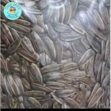 

Kwaci Bunga Matahari /kuaci