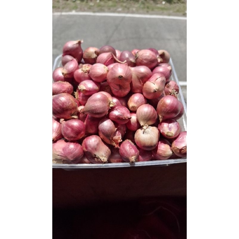 

Bawang Merah Tanggung dan Super 1 kg