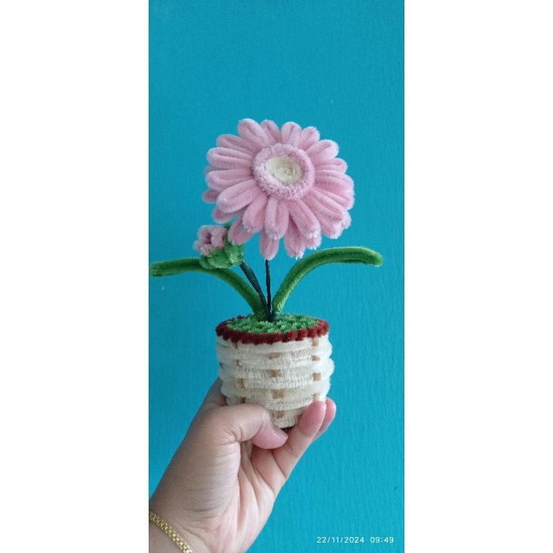 mini pot pipe Cleaner |bunga gerbera|daisy |Lidah mertua