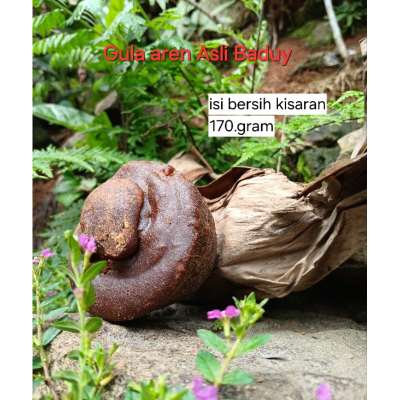 

Gula asli Baduy,1batok