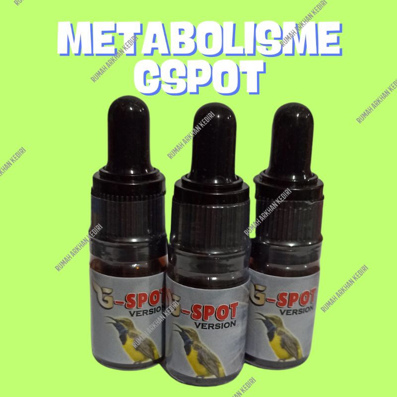 METABOLISME GSPOT G SPOT G-SPOT VITAMIN BURUNG KICAU