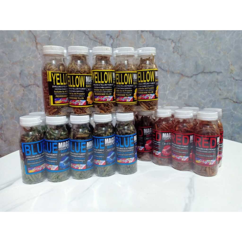 Pakan Ikan Predator Maggot Color FL - Booster Warna Ikan Hias Super Pro
