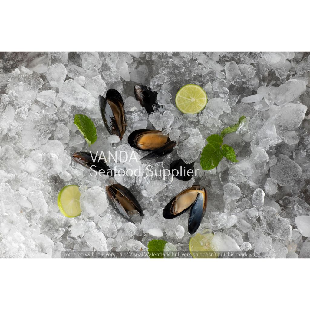 

Black Mussel Full Shell (907g)