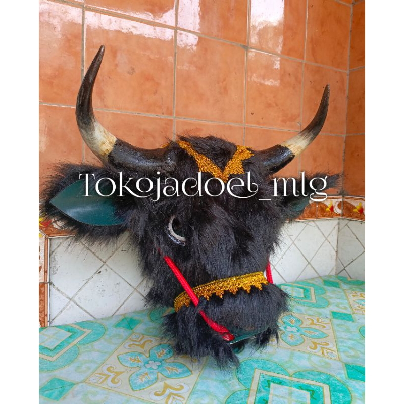 bantengan tanduk asli