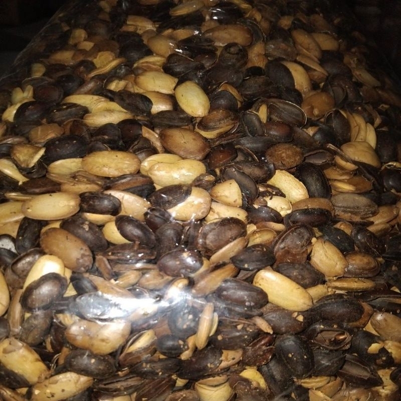 

Biji kedawung matang 1 kg