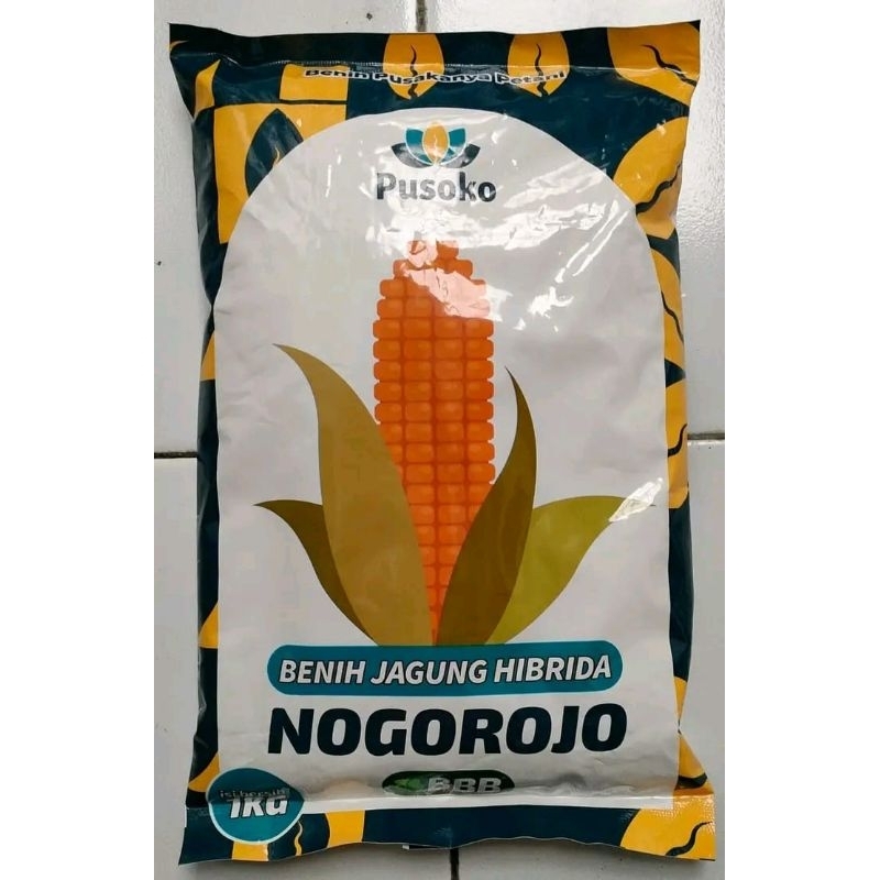 

Jagung Pusoko Nogorojo