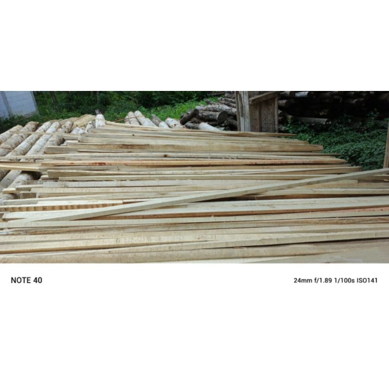 2x3 KAYU RENG KASAR 2X3 PANJANG 50-200CM