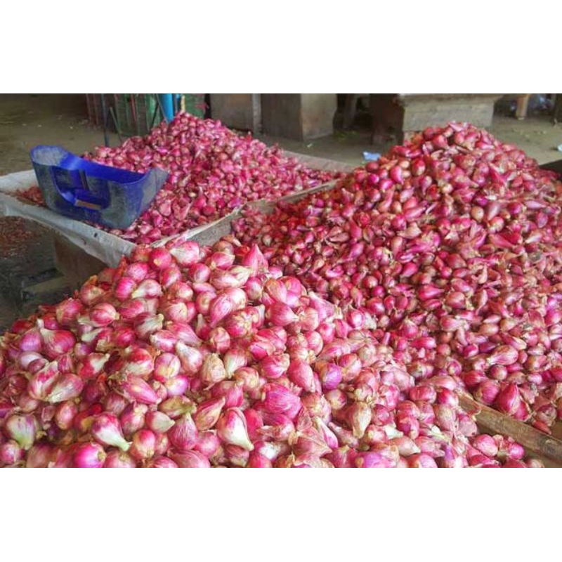 

Bawang Merah