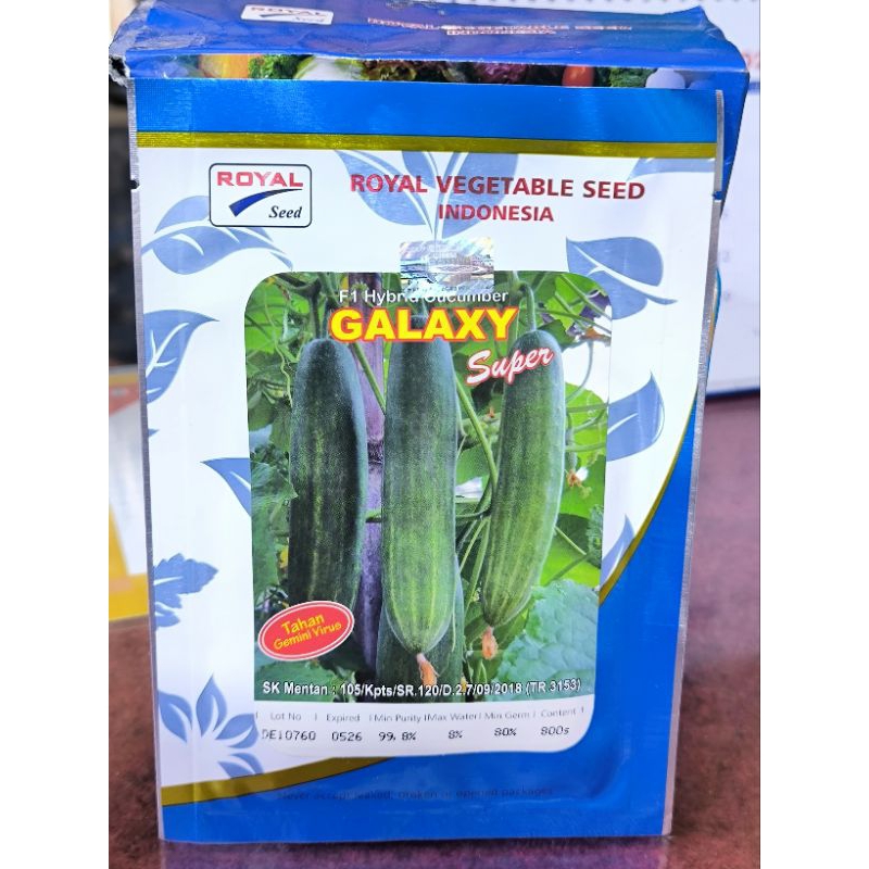 Benih bibit Timun Galaxy F1