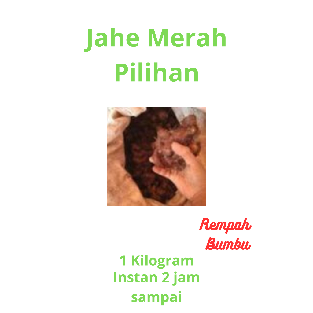 

Jahe merah segar 500 gram// fresh