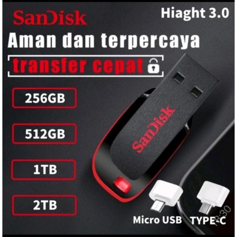 Flashdisk Sandisk