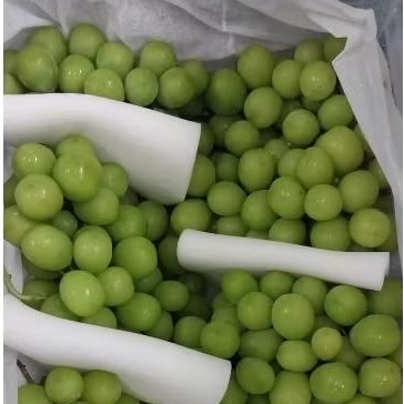 

PROMO anggur hijau muscat kranjang manis tanpa biji 1kg