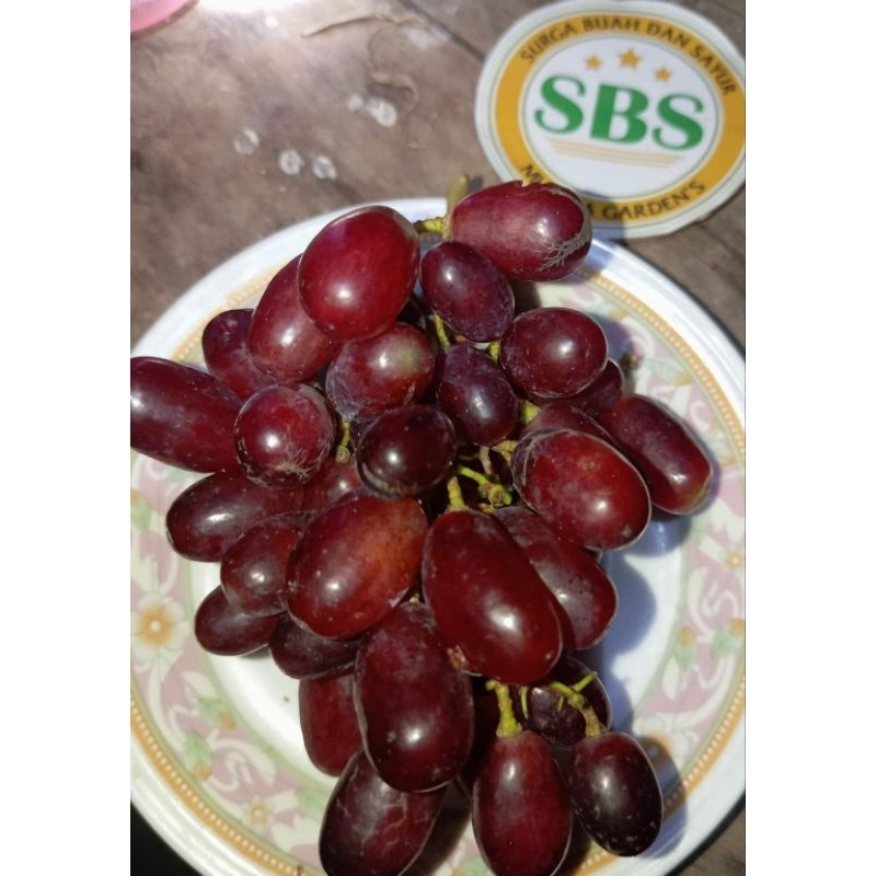 

anggur import casanova