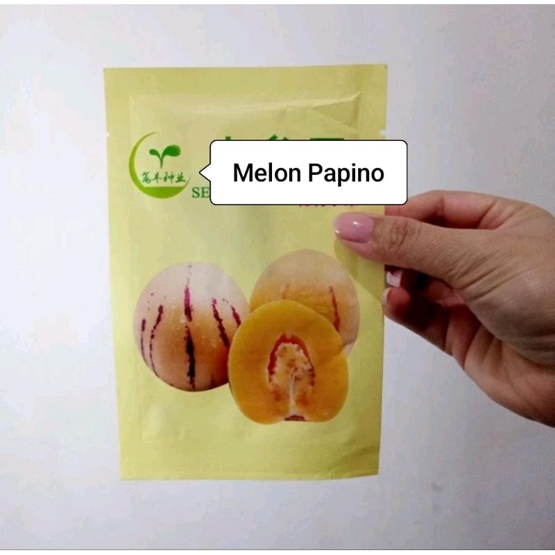 BENIH MELON PEPINO KEMASAN PREMIUM