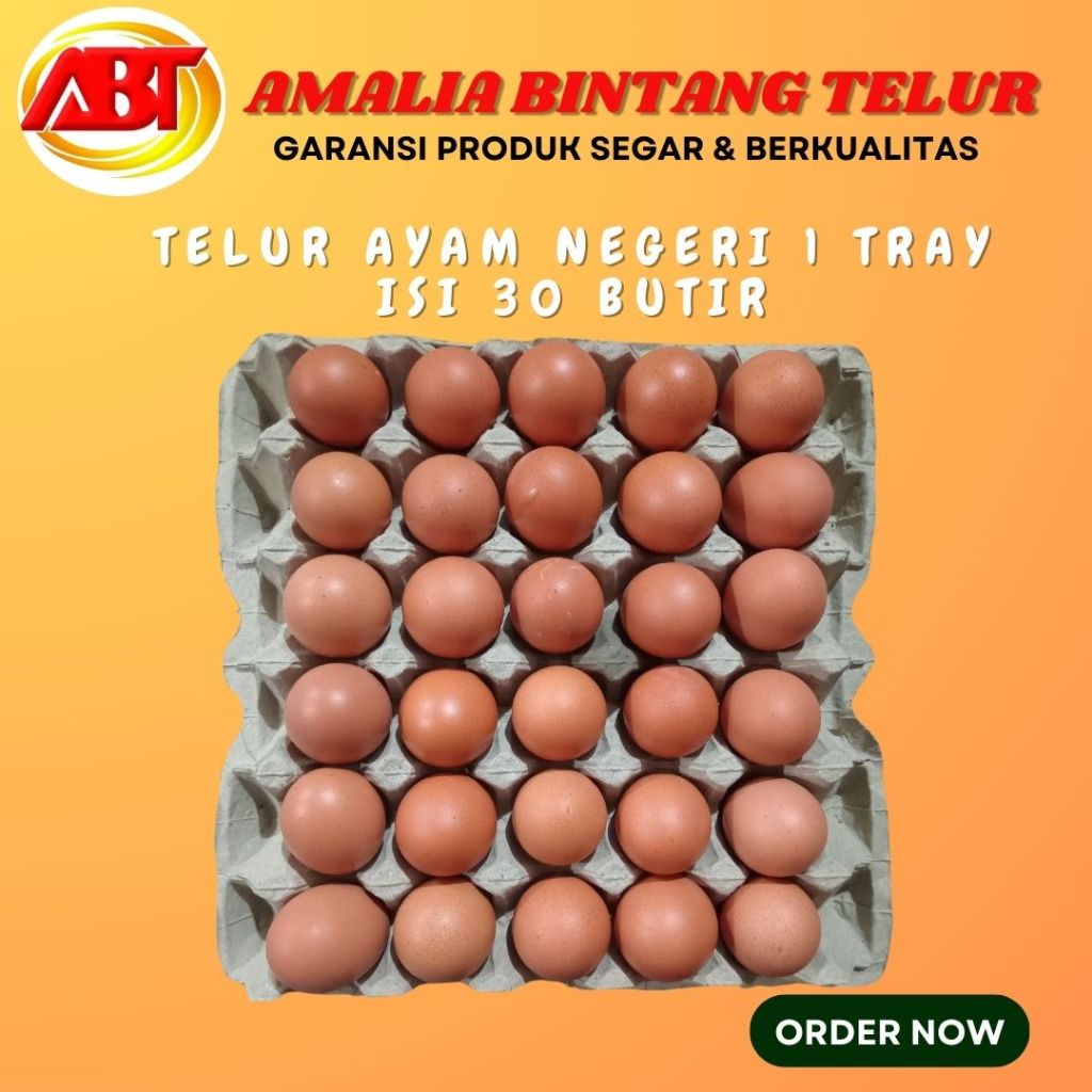 

ABT - Telur Ayam Negeri 1 Tray (Isi 30 Butir, 1800-1900gram)