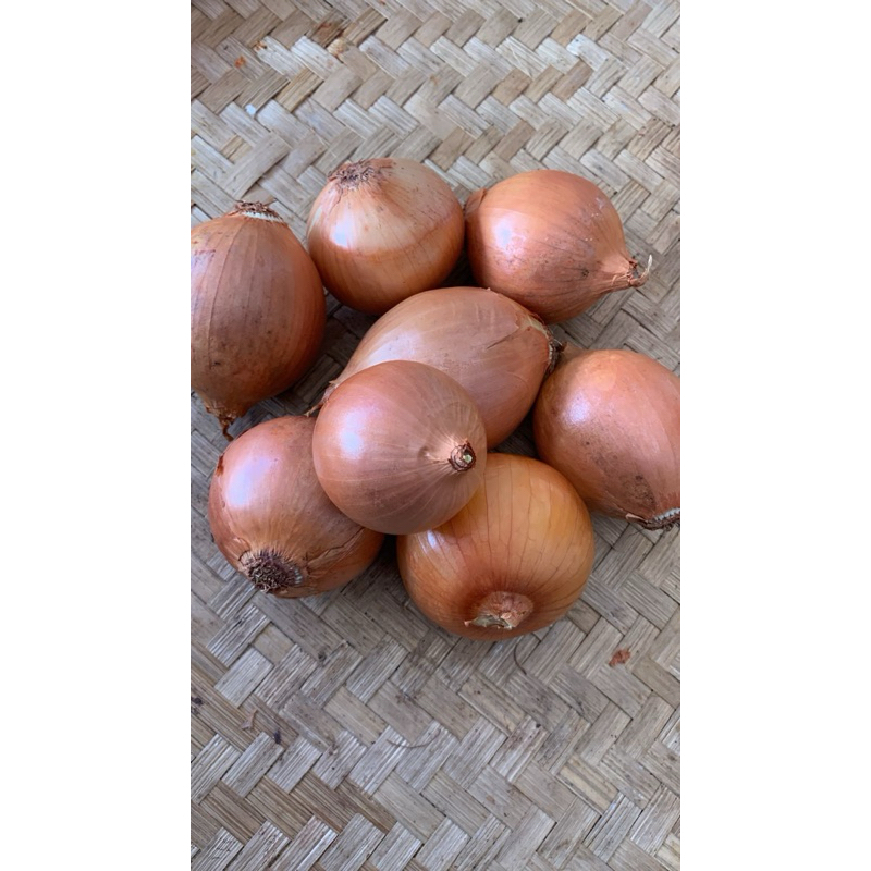 

Bawang Bombai 500 Gram