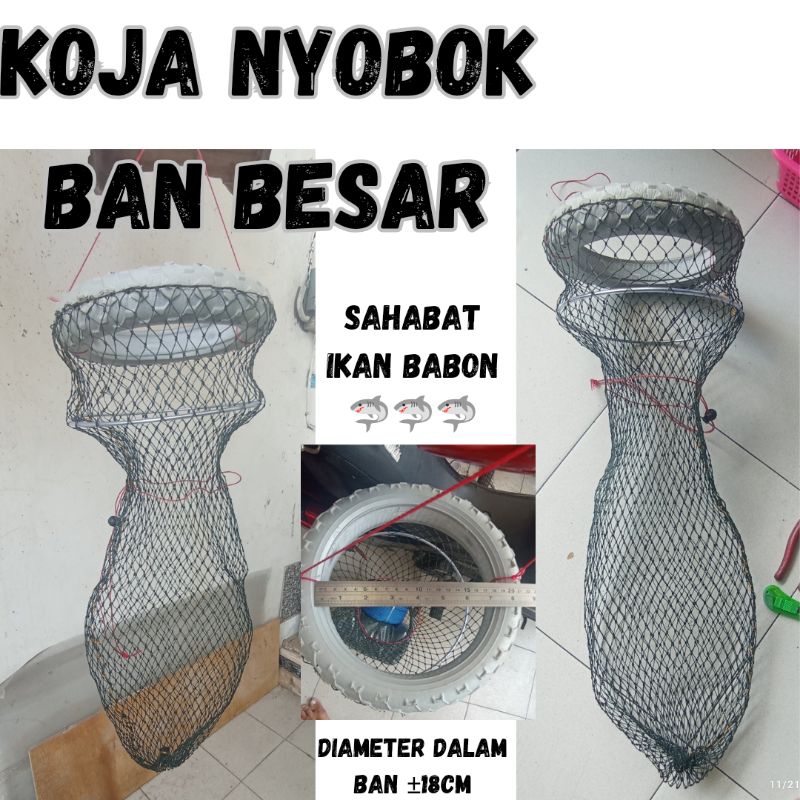KOJA APUNG BAN BESAR/KORANG NYOBOK BESAR/NYOBOK BAN BESAR