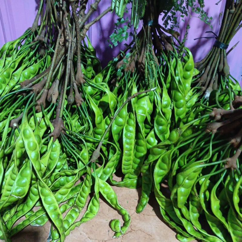 

Pete Petai Premium Grade A