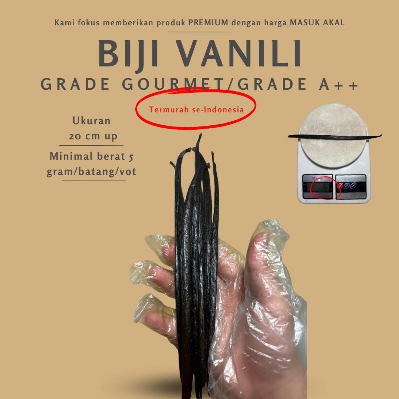 

Biji Vanili Planifolia, Grade Gourmet/Grade A++ , ukuran 20 cm keatas, 500g, 1kg