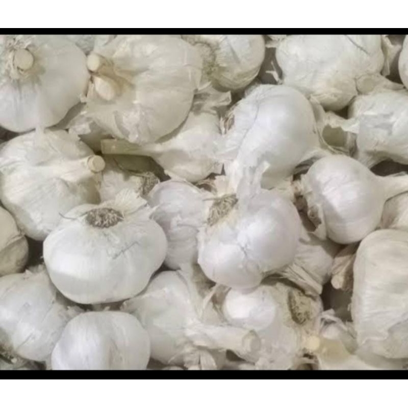 

Bawang Putih Fresh 1kg Murah
