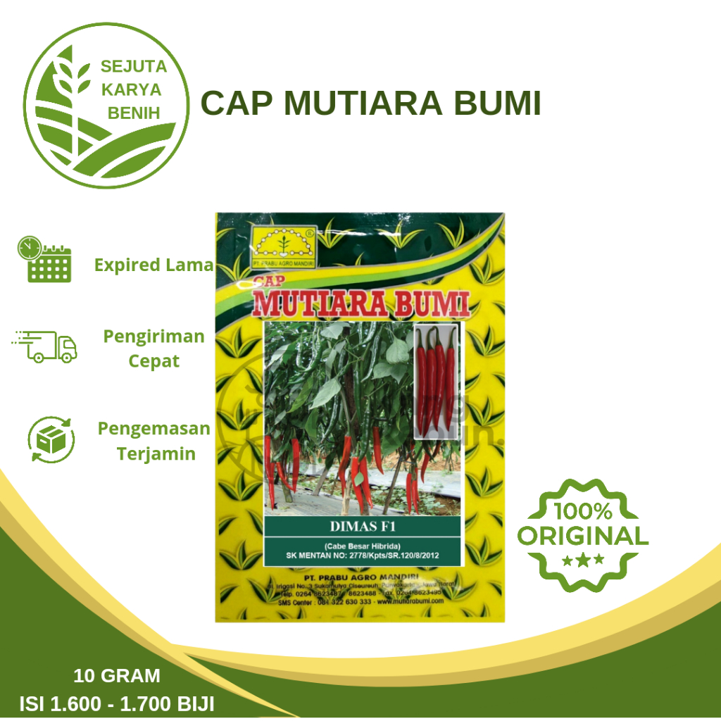 Benih Cabe Besar Dimas F1 10 Gram isi 1600-1700 Biji Cap Mutiara Bumi