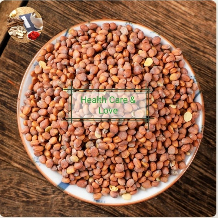 

Radish Seed Lai Fu Zi 萊菔子 Semen Raphani Seeds Daikon Premium 50 Gr