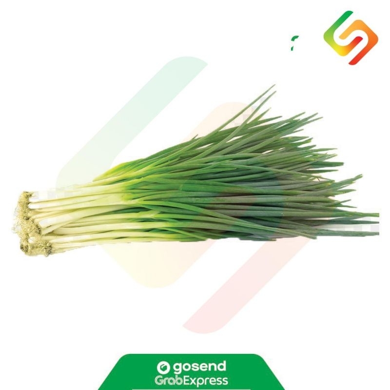 

DAUN BAWANG