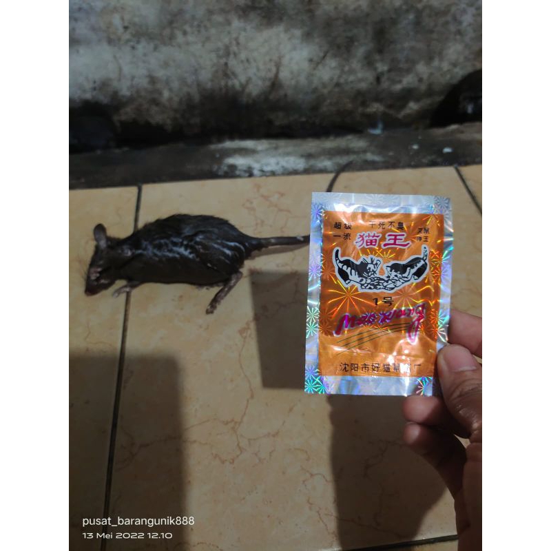 Racun Tikus Beras Merah | Maowang Beras Merah | Racun Tikus Mati Ditempat | Racun Tikus Mati Kering