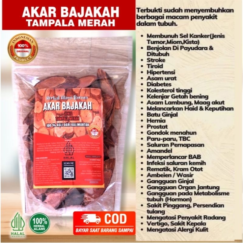

AKAR BAJAKAH TAMPALA MERAH ASLI KALIMANTAN KUALITAS TERBAIK BERAT 500GR