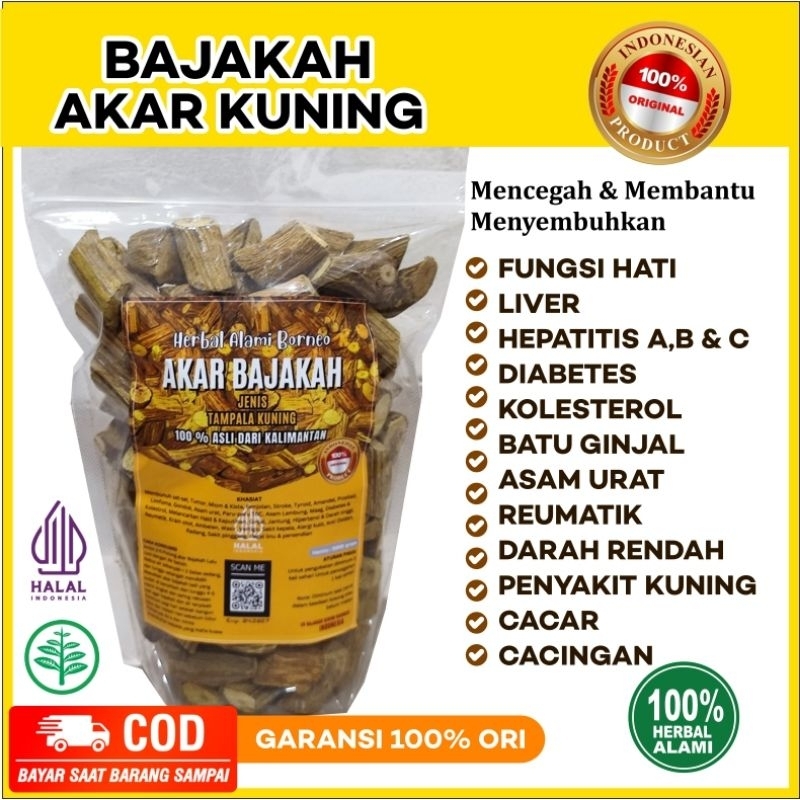 

BAJAKAH AKAR KUNING ASLI KALIMANTAN obat herbal - kayu bajakah kuning