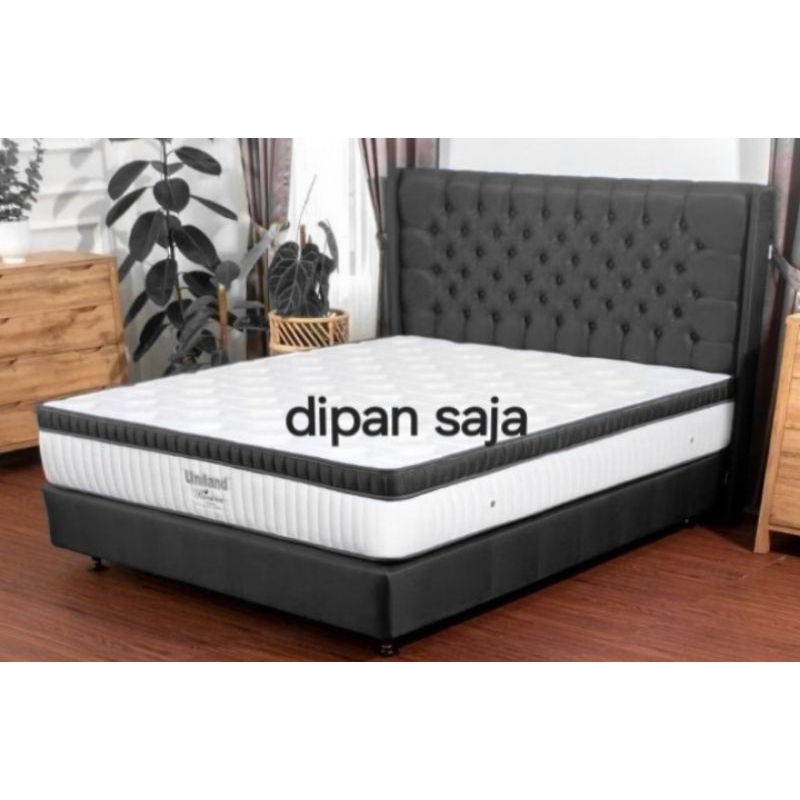 dipan sesuai gambar kain bludru ( dipan dan sandaran tanpa kasur)