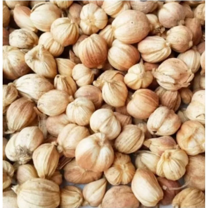 

100 gram kapulaga kering hasil jemuran / kapol kering / kapulaga lokal